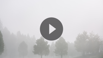 dense-fog-becomes-a-problem-in-t