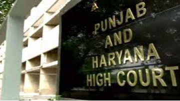 punjab-haryana-high-court-major-