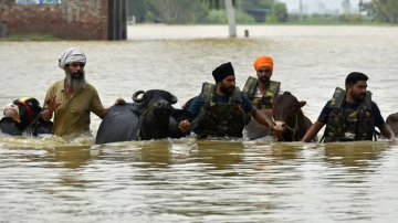 post-flood-relief-scheme-for-liv