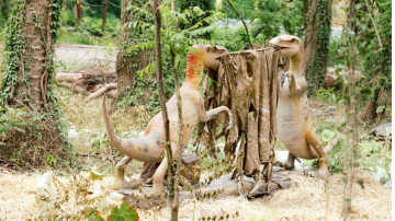 80-508-visitors-in-2-months-as-b