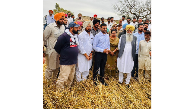 over-500-agriculture-dept-offici